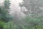 Myweelandscaping-irrigation-4.jpg; ?>